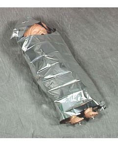 sterilizer baby bunting