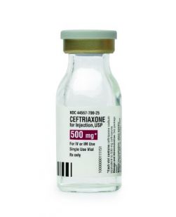 Generic Equivalent to Rocephin® Ceftriaxone Sodium, Preservative Free 500 mg Intramuscular or Intravenous Injection Vial  (25/BX)