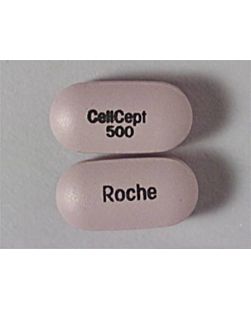 Cellcept Tablets, 500mg, 100/btl