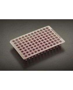 Low Profile 96 Thin Walled PCR Plate, Blue, 10/bg, 10 bg/cs