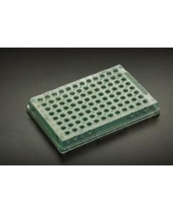 96 Thin Walled PCR Plate, 0.2mL, Green, 10/bg, 10 bg/cs