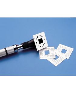 3.5V Spot Lamp, 6/pk (US Only)