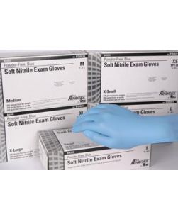 Gloves, Large, 200/bx, 10 bx/cs (70 cs/plt)