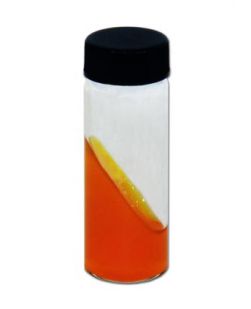 DTM Wide Mouth Vial, 20/bx (Continental US Only) (Drop Ship Only-Item Requires Refrigeration)