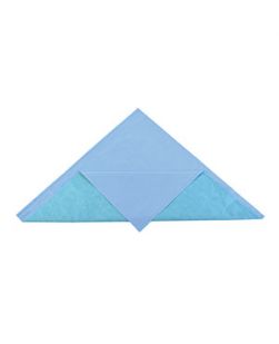 Wrap, Sterilization, CH400, 40 x 40, Two-Color, Blue/Green, SMS, 72/cs (Continental US Only)